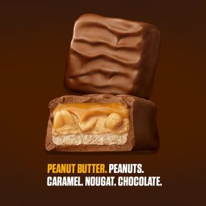 Peanut Butter Squared Singles Size Chocolate Candy Bars